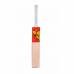 Beastt Elite Kashmir Willow Cricket Bat  (700-850 kg)